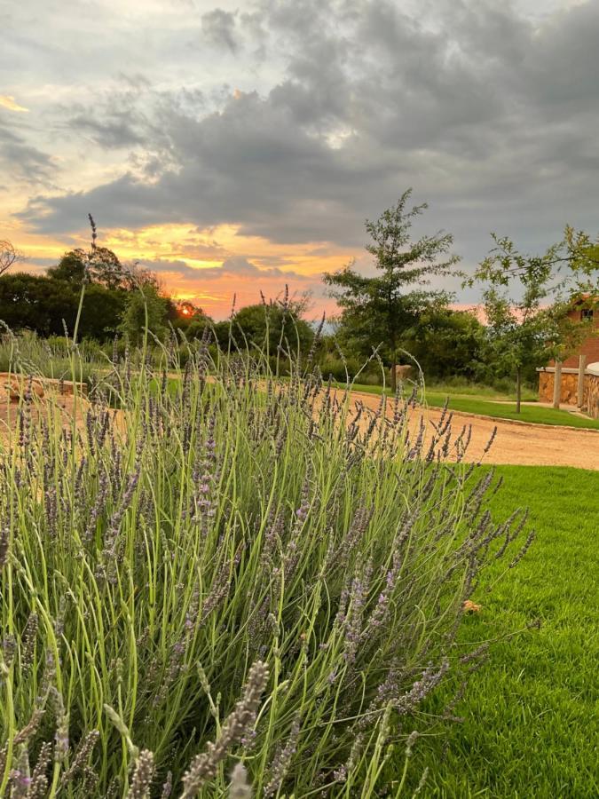 Mount High Luxury Stables Villa Lydenburg Bagian luar foto